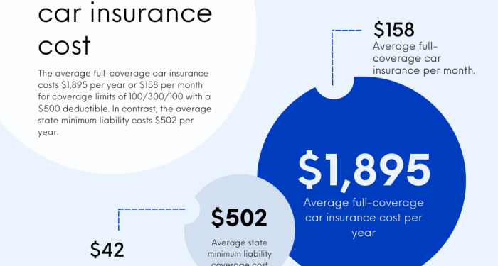Best Affordable Full Coverage Car Insurance at Nathan Brodzky blog