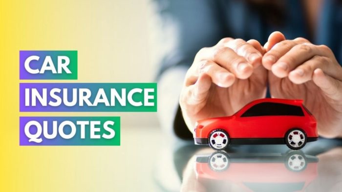 International Rental Car Insurance - Trend Web Id International Rental Car Insurance - Trend Web Id