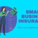 The Ultimate Guide to Small Business Insurance Costs