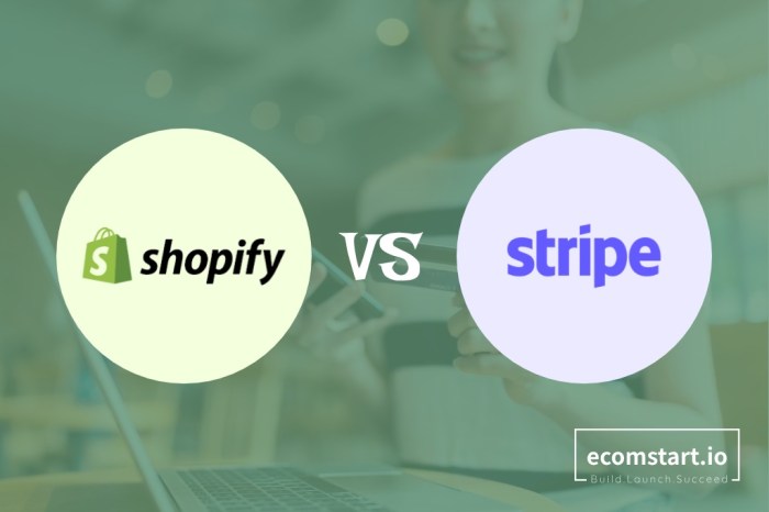 Shopify Payments vs Stripe Comparison: Which Is Best in 2024? Shopify Payments vs Stripe Comparison: Which Is Best in 2024?
