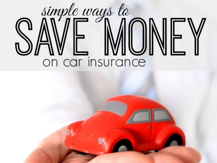 6 Tips On How to Save Money on Car Insurance – Petrol Gang